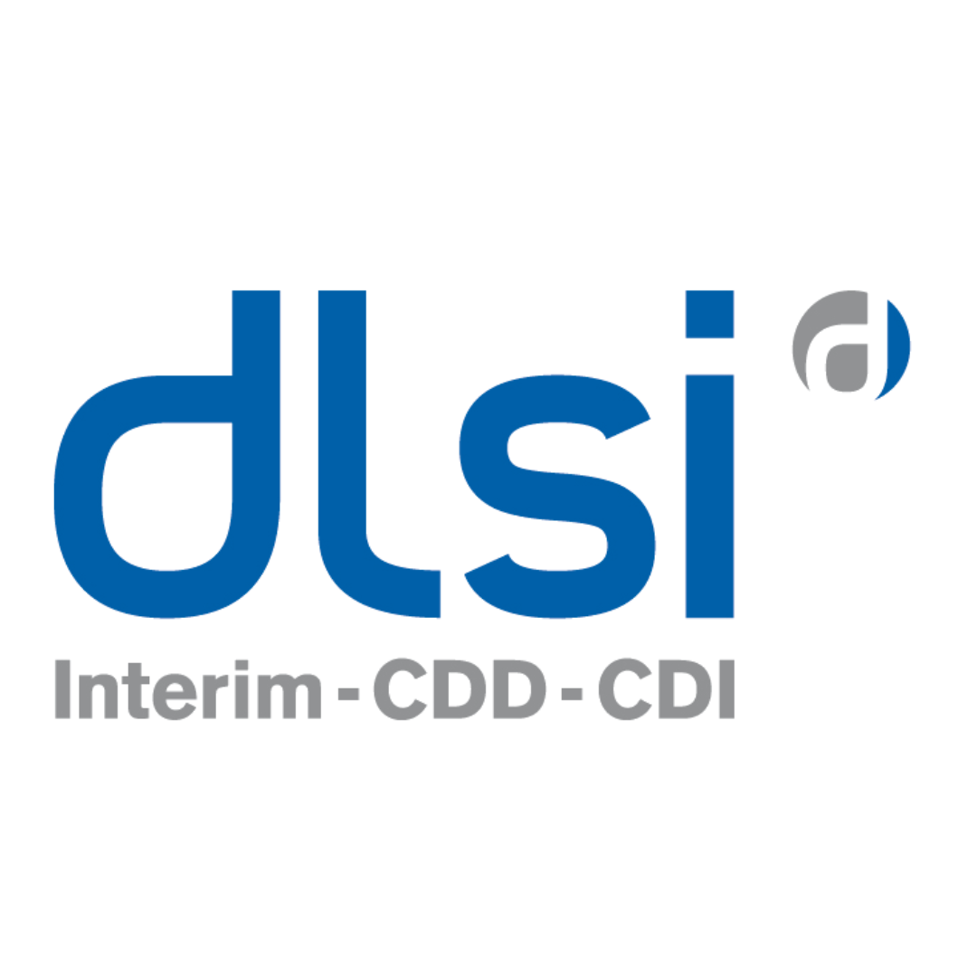 logo_dlsi_emploi